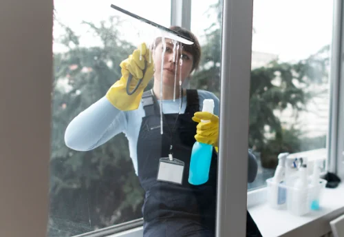 Nettoyage de vitres intérieures et extérieures à Badaroux